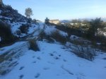 20130302_091932.jpg
