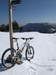 piojo con nieve 2-3-13 015 c.JPG