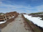20130303_123114.jpg