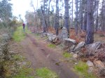 IMG_20130303_101254.jpg