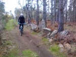 IMG_20130303_101332.jpg