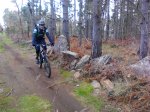 IMG_20130303_101436.jpg