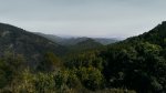 Sueras 8.jpg