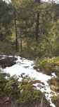 Sueras 9.jpg