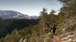Sueras 11.jpg