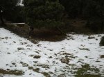 2013-03-03 10.55.03.jpg