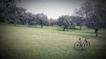 IMAG0297.jpg