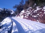IMG_20130302_090447.jpg