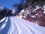 IMG_20130302_090458.jpg