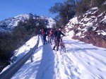 IMG_20130302_090556.jpg