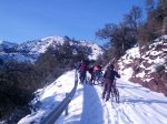 IMG_20130302_090559.jpg