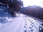 IMG_20130302_091313.jpg
