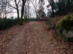 TRAMO (8).jpg