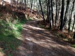 TRAMO (11).jpg