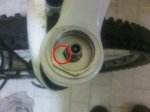 IMG-20130303-00084.jpg