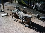 IMG_20130205_154049.jpg
