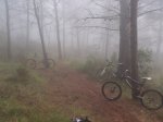 DSC_0266b.jpg