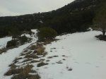 20130303_094936.jpg