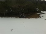 20130303_094927.jpg