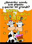 felizcumple21.gif
