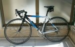 Bici Judith 3.JPG