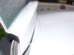 DSCN8767.JPG