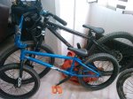 IMG_20121013_133810.jpg