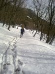 03032013461.jpg