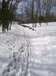 03032013459.jpg
