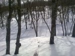 03032013460.jpg