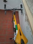 2013-02-10 17.49.35.jpg