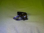 IMG_20130306_213438.jpeg