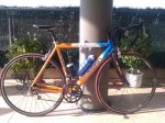 orbea1.jpg