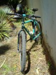 DSC01196-1.jpg