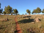 2013-02-23 17.49.31.jpg