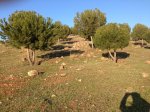 2013-02-23 17.56.02.jpg