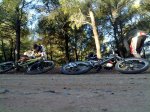 15022010075.jpg