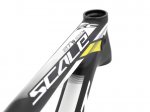 Scott-SCALE-700-RC-2013_b6.jpg