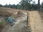 2013-03-07 11.25.27.jpg