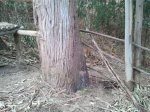2013-03-07 11.29.37.jpg