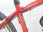 specialized cuadro 025.jpg