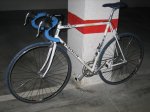 Copia de IMG_1063.JPG