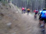 22042007085.jpg