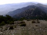 22042007106.jpg