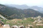 DSCF0062.JPG