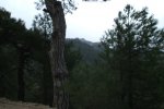 DSCF0069.JPG