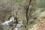 DSCF0071.JPG