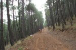 DSCF0073.JPG