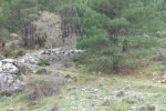 DSCF0078.JPG