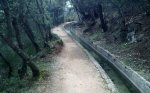 IMG_2013030928376.jpg